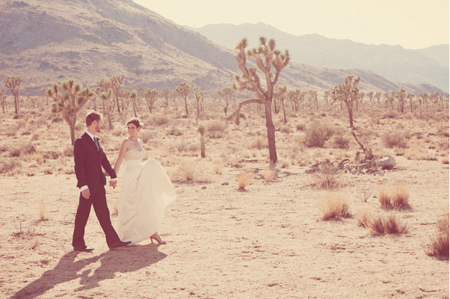 This spectacular desert wilderness, with it's monumental granite rocks and fabulous wild and plant life, including many endangered species, has become Southern California's premier destination.